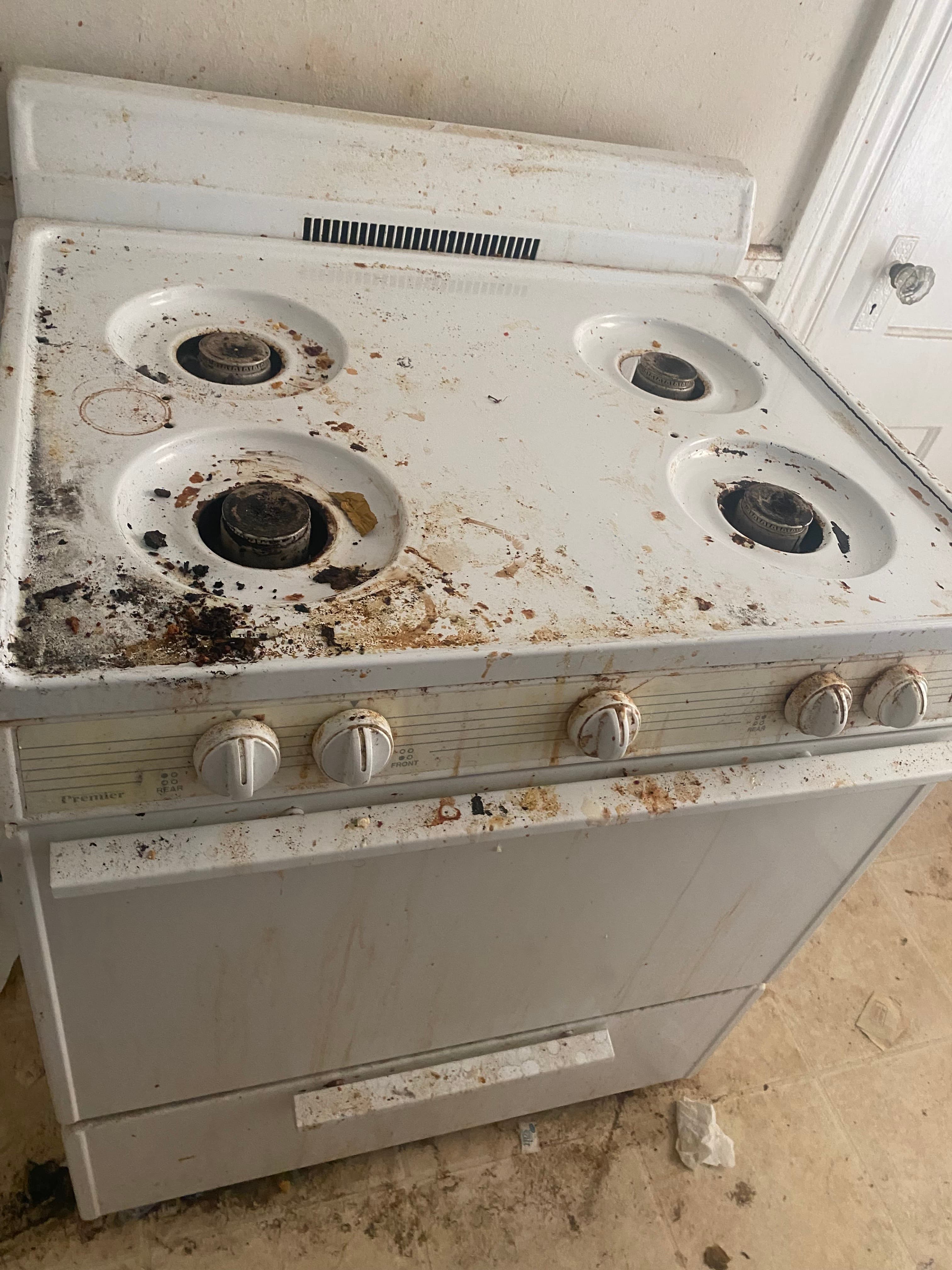 Inside Oven Cleaning before